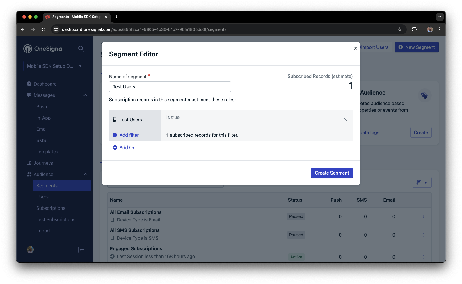 Screenshot of a segment utilizing the "Test Users" filter